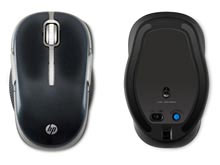 Фото новости