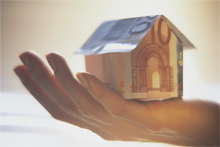 Фото новости