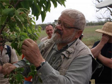 Фото новости