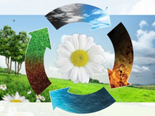 Фото новости