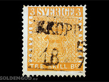 Фото новости