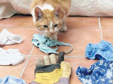 Фото новости