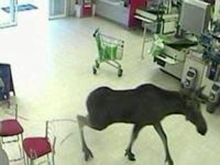 Фото новости