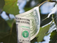 Фото новости