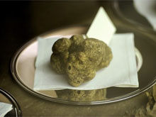 Фото новости